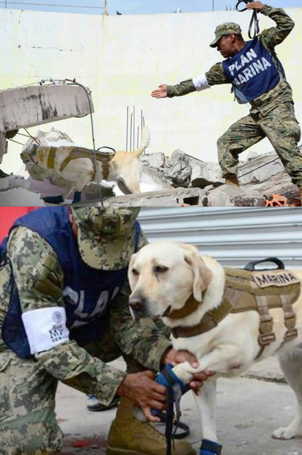 FRIDA-RESCATE-EN-ESCUELA-RE.jpg