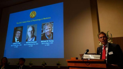 Científicos del ‘reloj biológico‘ ganan Premio Nobel de Medicina 2017