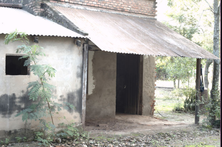 vivienda.jpg