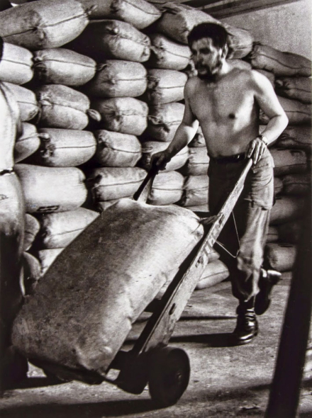 Chetrabajando458151-1_a.jpg