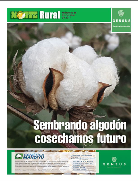 Sembrando algodón cosechamos futuro