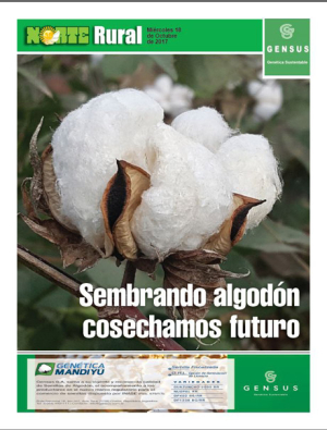 Sembrando algodón cosechamos futuro