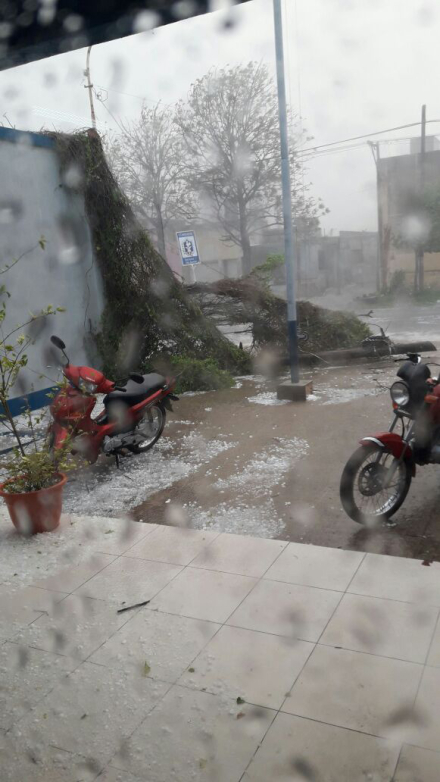 granizo 2.jpg