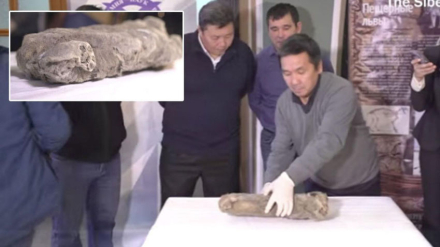 YAKUTIA-PRESERVED-YOUNG-CUB.jpg