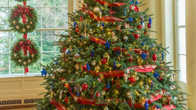 Armamos el árbol de Navidad