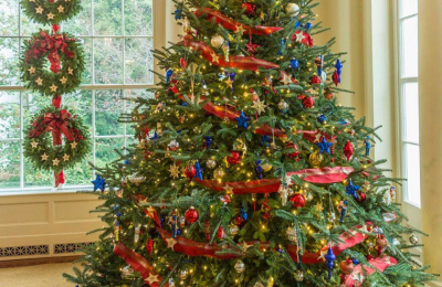 Armamos el árbol de Navidad