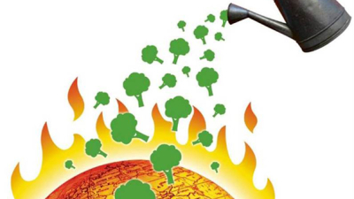 Más árboles, la solución natural para frenar el cambio climático