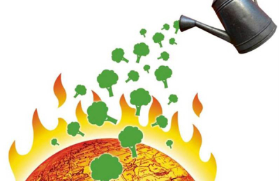 Más árboles, la solución natural para frenar el cambio climático