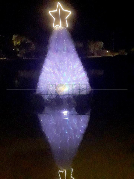arbol01.jpg