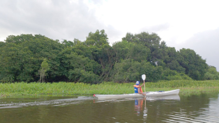 rionegro2.jpg