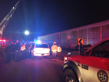 train34.jpg
