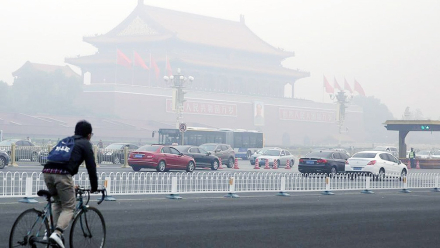 china1.jpg