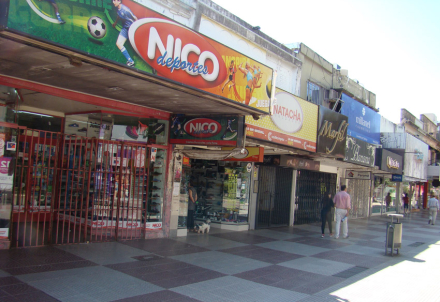 PEATONAL2.jpg