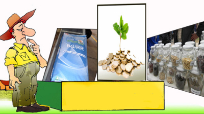 La semilla, clave para la agroalimentación