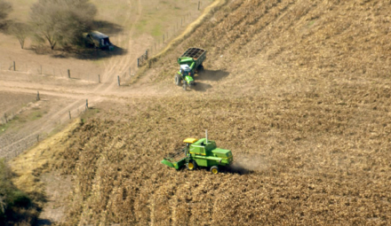 CAMPO-.jpg