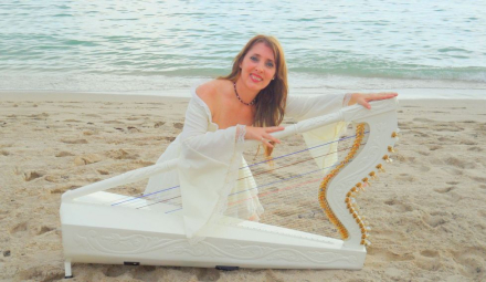 06 GUIDO MIRANDA - EVOLUCIÓN ELECTRO HARP – MARTA CARRARA - Gentileza (2).jpg
