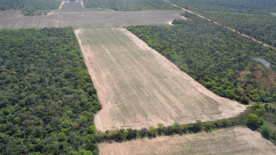 La Justicia cuestiona maniobras con tierras fiscales en manos de privados