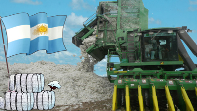 No hay cosechadoras de algodón: el problema que faltaba
