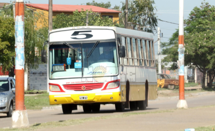colectivo01.jpg