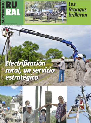 Electrificación rural, un servicio estratégico