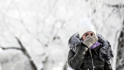 Llegó el Invierno