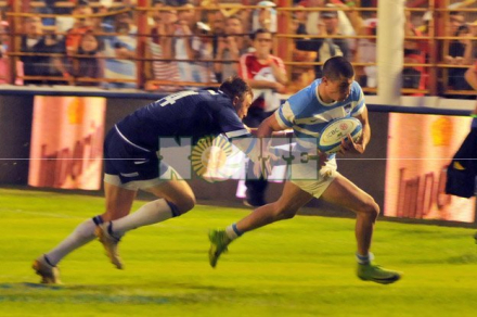 pumas3.jpg