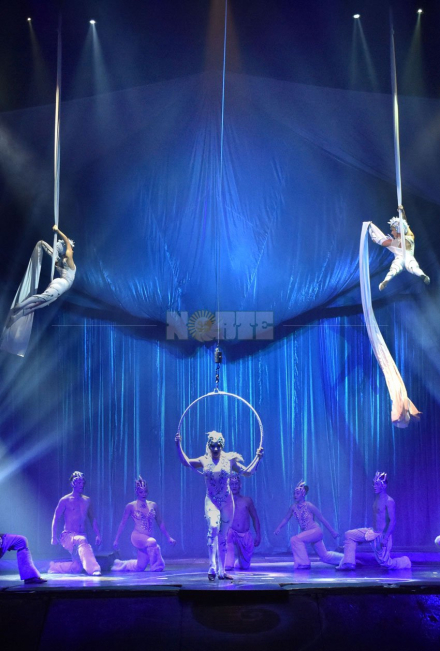 circo8.jpg