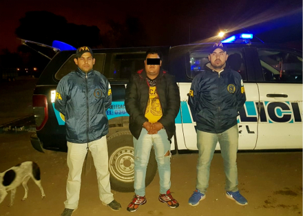 narco2.jpg