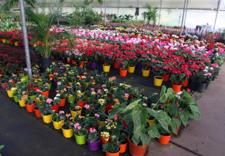 ESCUELA-DE-JARDINERIA27.jpg