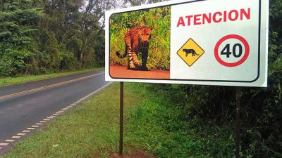 Prevención de atropellamiento de fauna en Iguazú