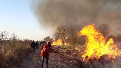 Incendios forestales intencionales causan perdidas millonarias en Los Frentones