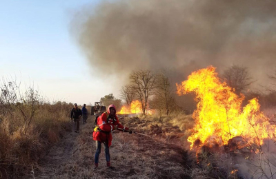 Incendios forestales intencionales causan perdidas millonarias en Los Frentones