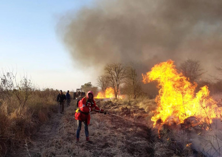 INCENDIO-LOS-FRENTONES-(2).jpg