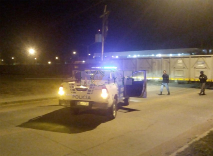 tren2.jpg