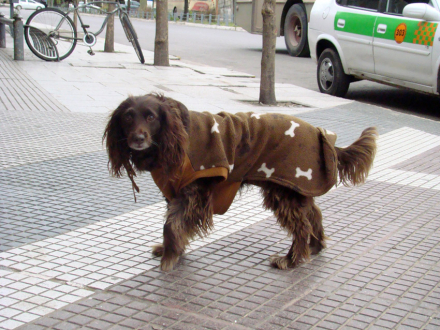 frio2.jpg