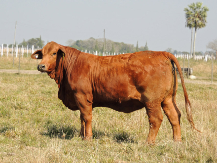 rural9.jpg