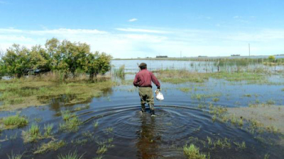 ¿Qué es el fenómeno de El Niño?