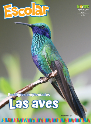 Las aves