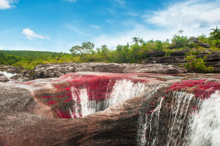 Viajes - Colombia - Caño Cristales 4.jpg
