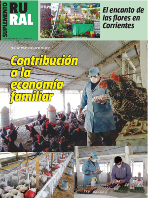 Contribución a la economía familiar