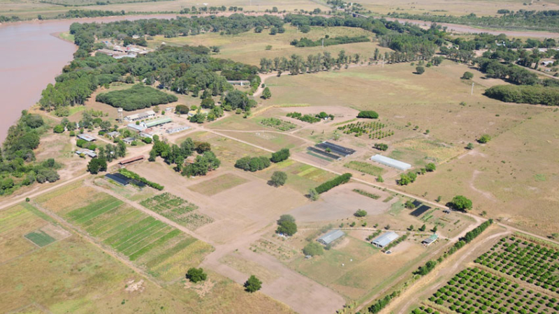 INTA El Colorado, camino a los 80 años al servicio del productor rural y su familia