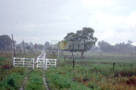 campo lluvia agua.jpg