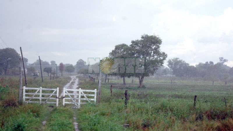 Buenos registros de lluvias que favorecen al campo