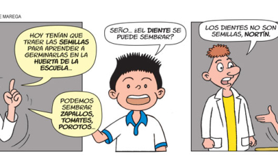 Nortín