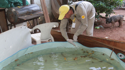 Paraguay: confirmaron dos nuevos casos de dengue y unos 300 posibes