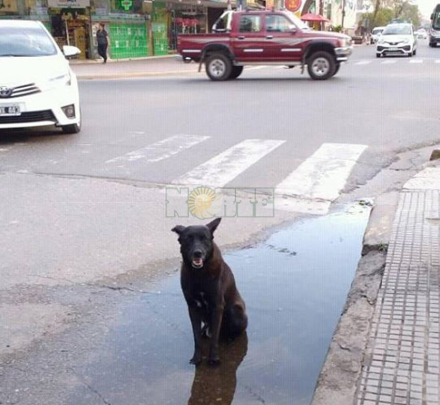 calor01.jpg