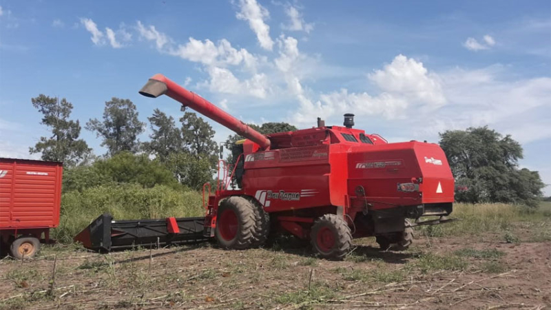 Coronel Du Graty: peón rural murió al caer de una máquina agrícola