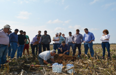 Actividades, cambios y desafíos de la Estación Experimental Las Breñas