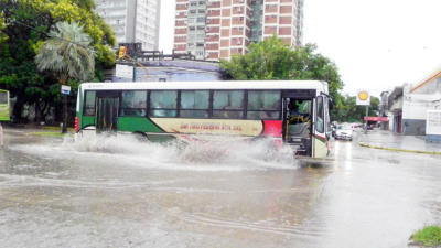 El temporal de viento y agua produjo caída de árboles y anegamientos parciales