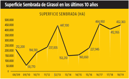 girasol4.jpg